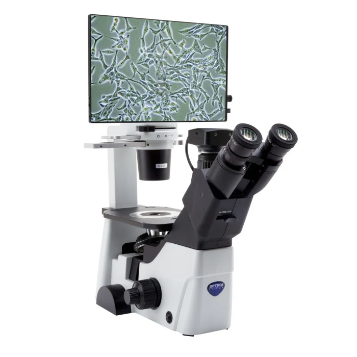 Inverted microscope OPTIKA IM-300D