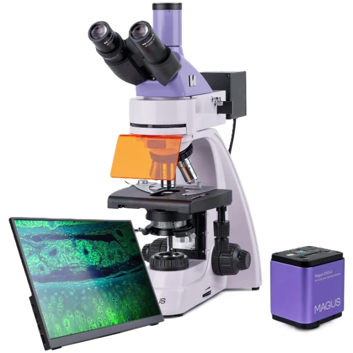 Флуоресцентный микроскоп MAGUS Lum D400L LCD — профессиональная система с LED/ртутной подсветкой и LCD-дисплеем