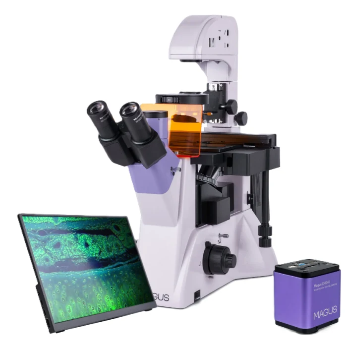 Инвертированный флуоресцентный микроскоп MAGUS Lum VD500 LCD
