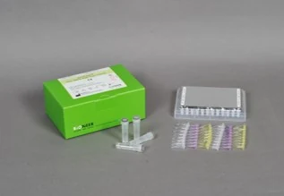 Real-time PCR kit AccuPower® HPV 16 and 18
