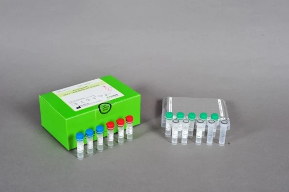 Quantitative PCR kit AccuPower® HCV